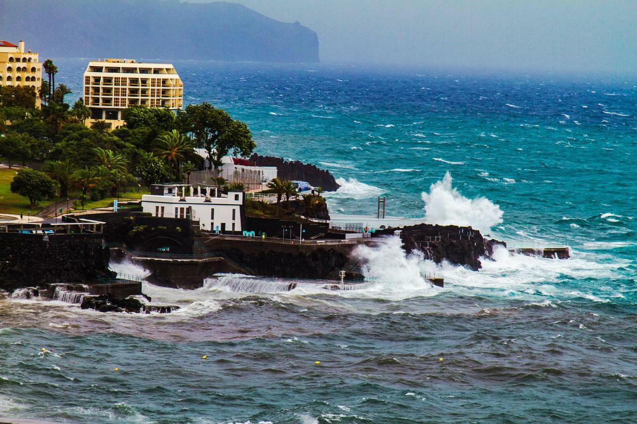 Sea Shell Daire Funchal Dış mekan fotoğraf